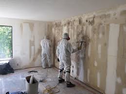 Best Emergency Mold Remediation  in Mclean, TX